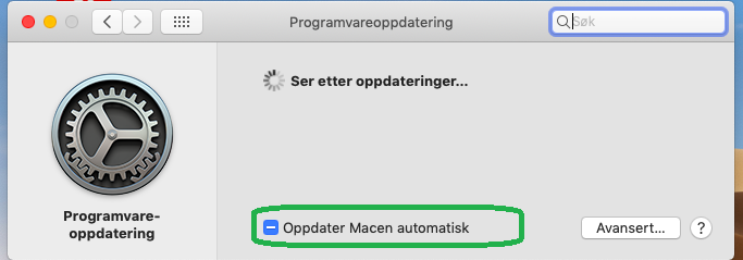 Bilde av programvareoppdatering-vinduet på Mac.