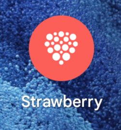 Skjermbilde av Strawberrys app på mobil.